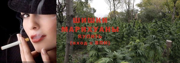 mix Ельня