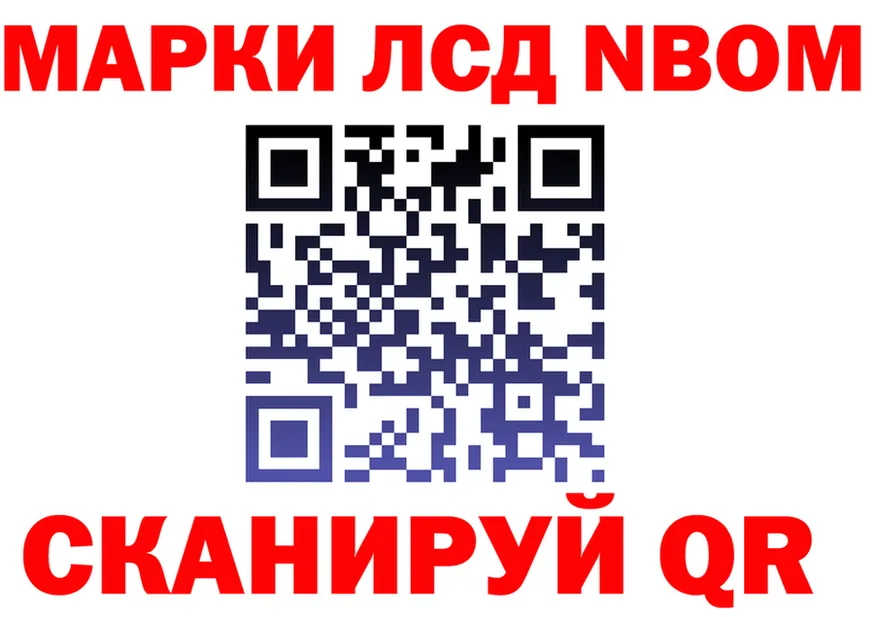 АМФ Premium tor мориарти hydra Лесной
