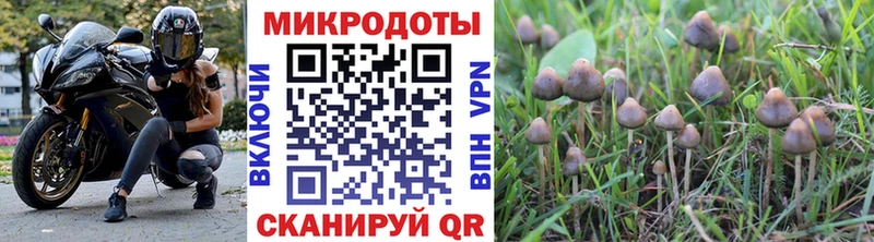 Купить закладки  Лесной  Галлюциногенные грибы ЛСД 